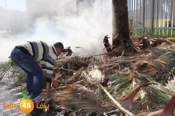 fire 7ekma 0212 (3).JPG